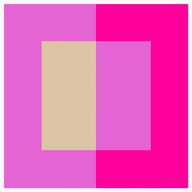 Two Toned Interactions, Hot Pink Fine Art Print 24" X 24" by Liz Roache For Sale In Boston - Image 6 of 6