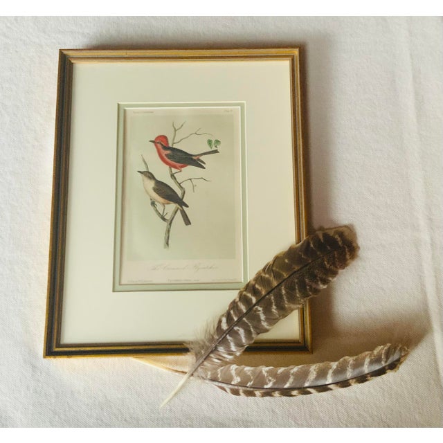 Antique Hand-Colored Litghograph , "The Crowned Flycatcher" C. 1853 For Sale - Image 14 of 18