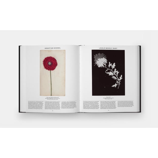 Plant: Exploring the Botanical World, Compact Format For Sale - Image 9 of 9