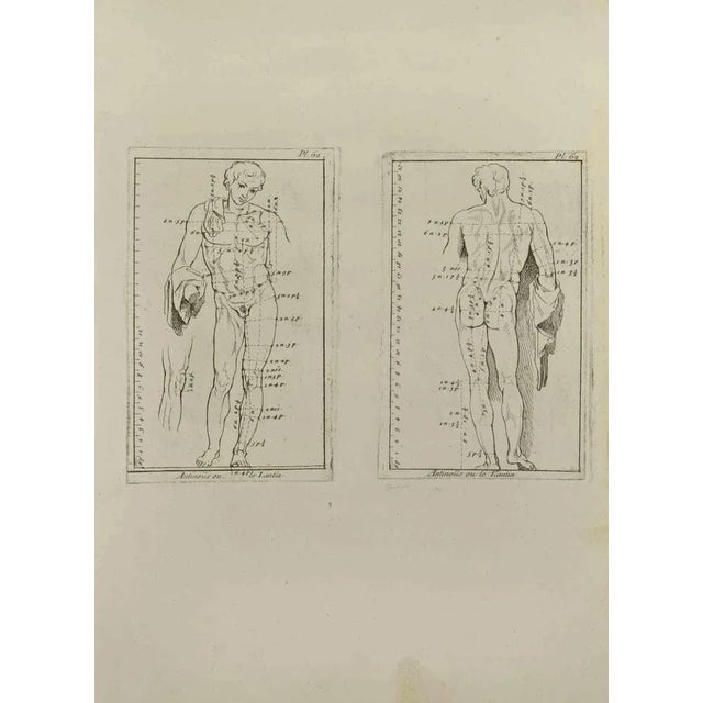 Anatomy Studies is an etching realized by Nicholas Cochin in 1755. Good conditions with foxing and folding. The artwork is...