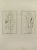 Anatomy Studies is an etching realized by Nicholas Cochin in 1755. Good conditions with foxing and folding. The artwork is...
