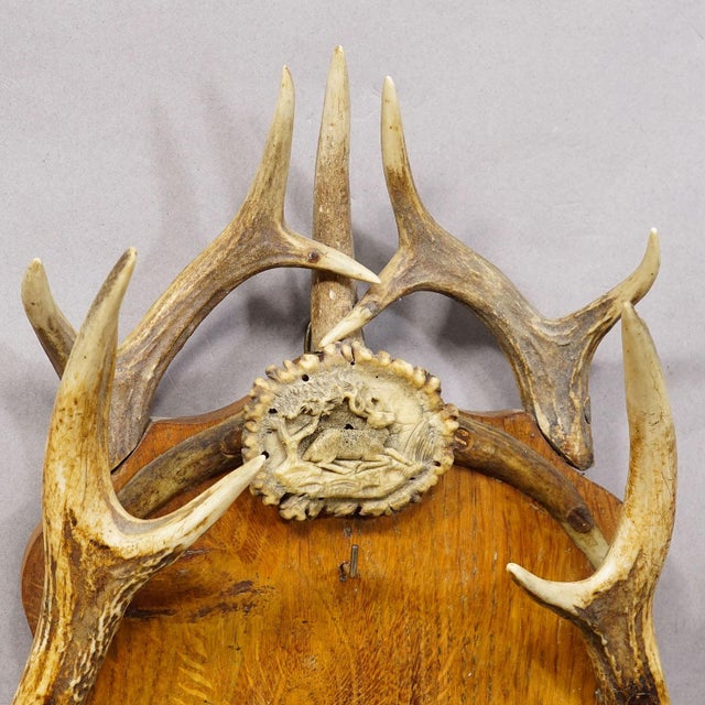 Early 20th Century Antique Black Forest Antler Key Rack, Germany Ca. 1930s For Sale - Image 5 of 7