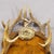 Early 20th Century Antique Black Forest Antler Key Rack, Germany Ca. 1930s For Sale - Image 5 of 7