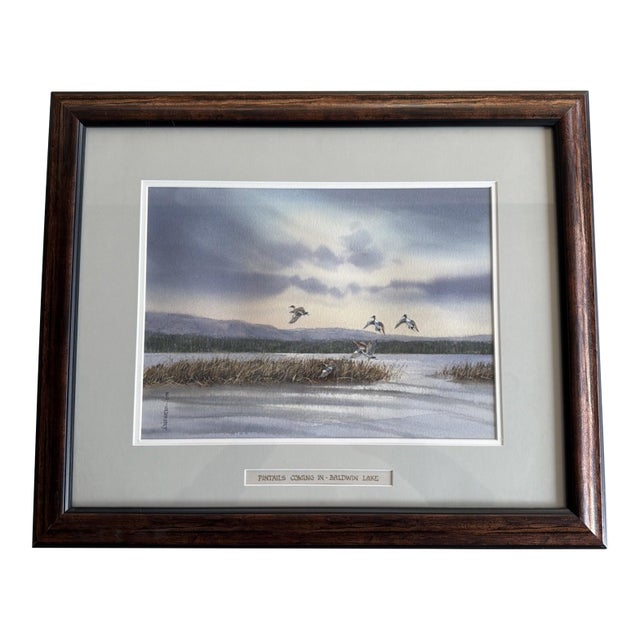 Original 1994 Signed Louis Weber Watercolor Pintails Ducks Baldwin Lake CA For Sale