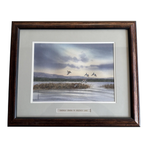 Original 1994 Signed Louis Weber Watercolor Pintails Ducks Baldwin Lake CA