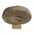 Antique wood grinder wheel from India on display stand. Great unique piece with character and history for display indoors...