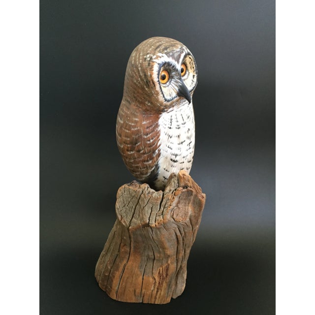 Wood Vintage Life Size Boreal Owl on Tree Trunk Decoy by Val Waugh For Sale - Image 7 of 13