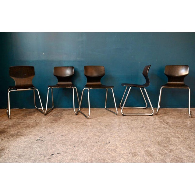 Scandinavian Chairs in Pagwood from Flötotto, 1960s, Set of 5 For Sale - Image 6 of 12