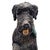 Vintage Hand Sculpted Terracotta Spinone Italiano Dog Studio Art Sculpture For Sale - Image 12 of 13