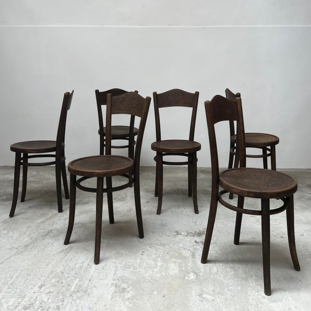 Antique Bentwood Bistro Chairs from Mundus, 1890s, Set of 6 For Sale - Image 11 of 11