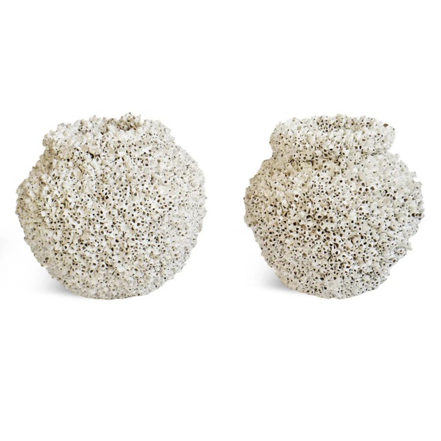 Coastal Vintage White Barnacle Shell Pot For Sale - Image 3 of 9