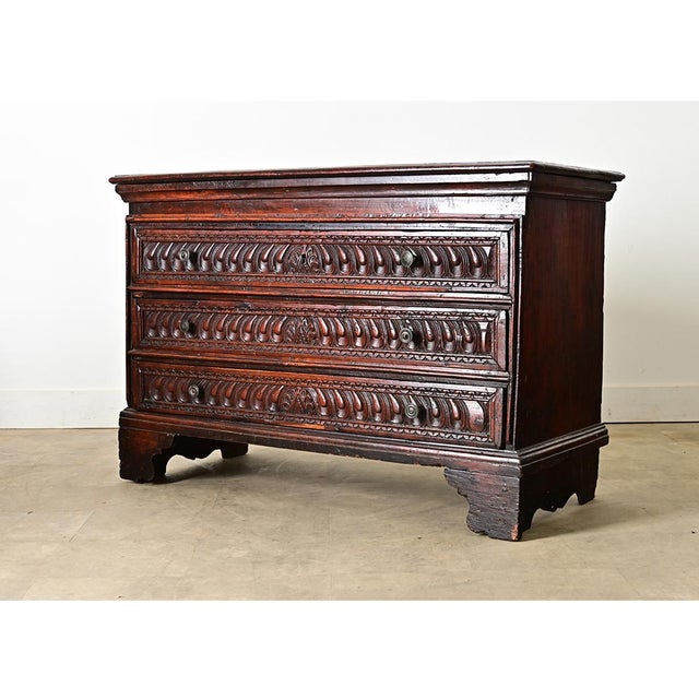 Italian 19th Century Carved Cedar Commode For Sale - Image 9 of 13