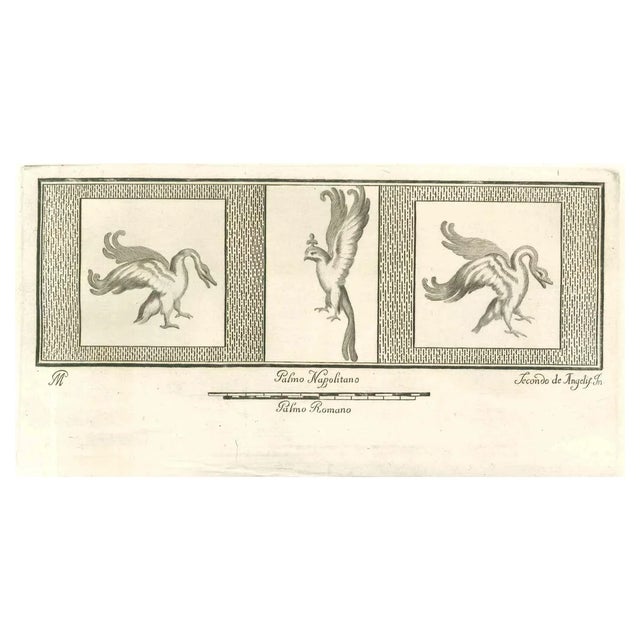 Secondo De Angelis, Birds Pompeian Fresco, Etching, 18th Century For Sale
