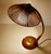 Vintage Desk Lamp in Sisal and Wood from Temde, 1960s For Sale - Image 10 of 14