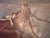 Baroque Early 19th Century Deer Cornered by a Pack of Hounds-Stag Hunt- Un-Framed For Sale - Image 3 of 6
