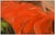 Realism Late 20th Century Mindful, Nancy Chaboun For Sale - Image 3 of 4