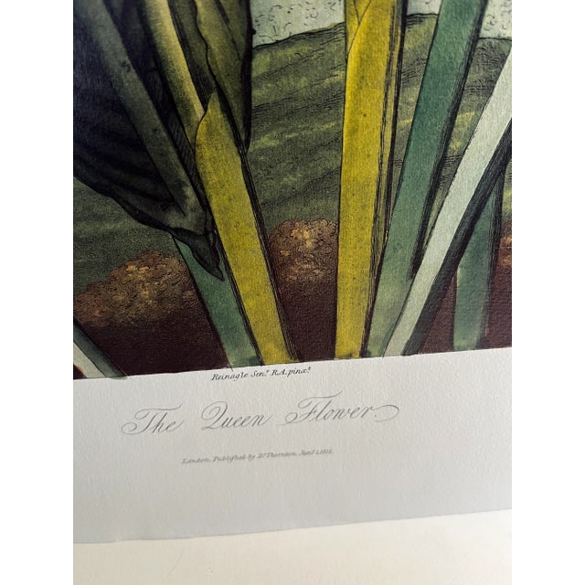 2008 Bird of Paradise Temple of Flora Print For Sale In New York - Image 6 of 6