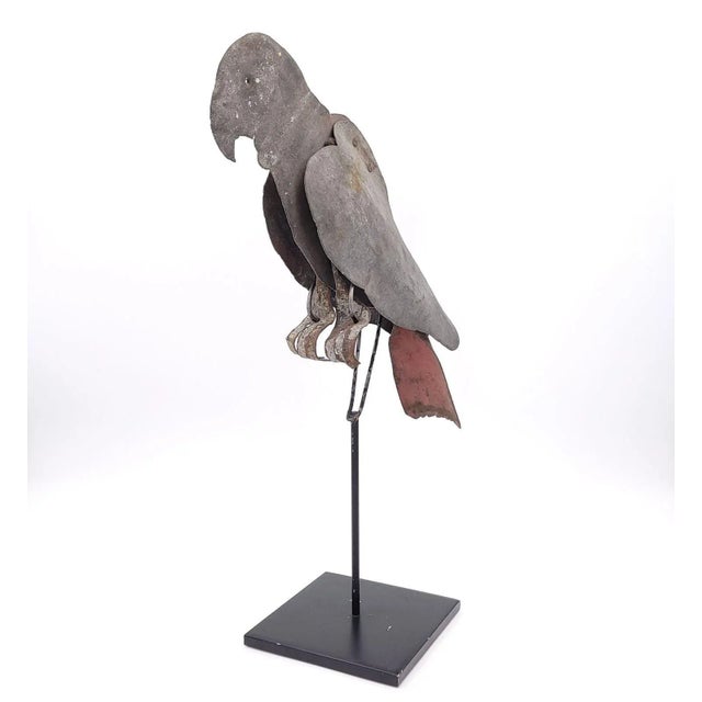 Tole Folk Art Parrot on Later Stand, Possibly French or French Colonial, Circa 1900 For Sale - Image 9 of 9