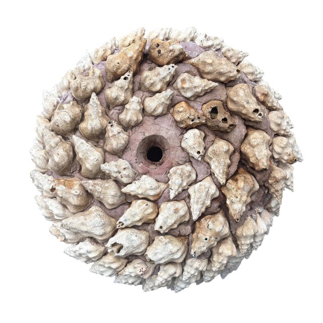 Monumental Italian Coquillage Shell-Encrusted Terracotta Planter, Mid-20th Century For Sale - Image 14 of 14