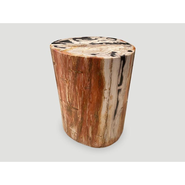 Brown Andrianna Shamaris High Quality Petrified Wood Side Table For Sale - Image 8 of 18