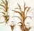 1950s Italian Gilded Tole Wheat Sconces - A Pair For Sale - Image 4 of 7