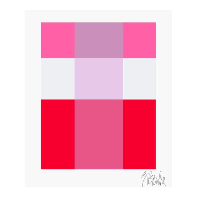 Lavender Through Pink Over Red Fine Art Print 20" X 24" by Liz Roache For Sale