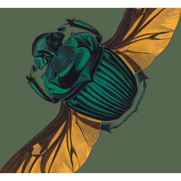 The series was produced by CFA editions from original pochior prints by E.A. Seguy. The series of insects that Seguy...