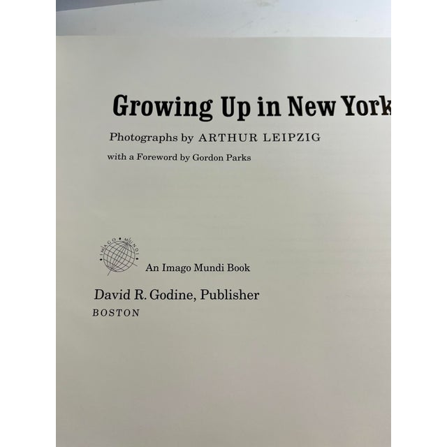 Figurative 1995 Growing Up in New York Leipzig Book For Sale - Image 3 of 10