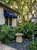 Monumental Vintage Cast Stone Garden Mushroom For Sale - Image 9 of 12