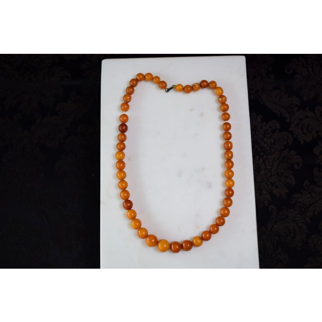Antique Baltic Amber Choker Necklace, 1940s For Sale - Image 16 of 16