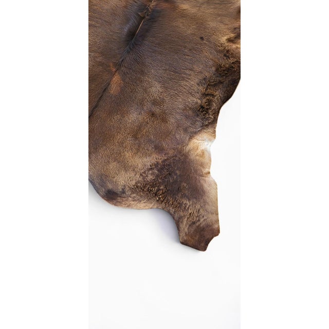 Vintage Rug in Cowhide, 1970s For Sale - Image 3 of 9
