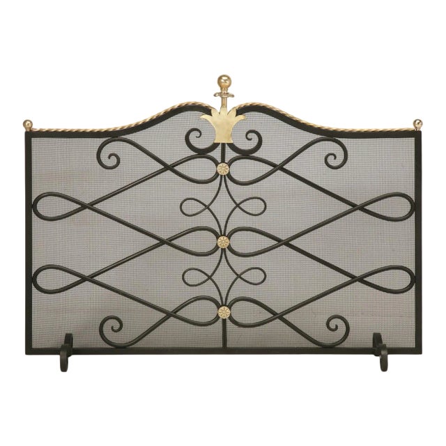 Steel & Brass Fireplace Screen With Mesh For Sale