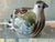 Vintage Tonala Pottery Bird Figurine Folk Art Mexican For Sale - Image 10 of 10