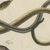 Pink Bertuch, Four Snakes in Colourful Coils, 1805, Print For Sale - Image 8 of 12