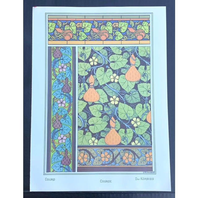 Botanic Illustration Art Deco Art Nouveau Gourd Vine Plant For Sale - Image 4 of 4