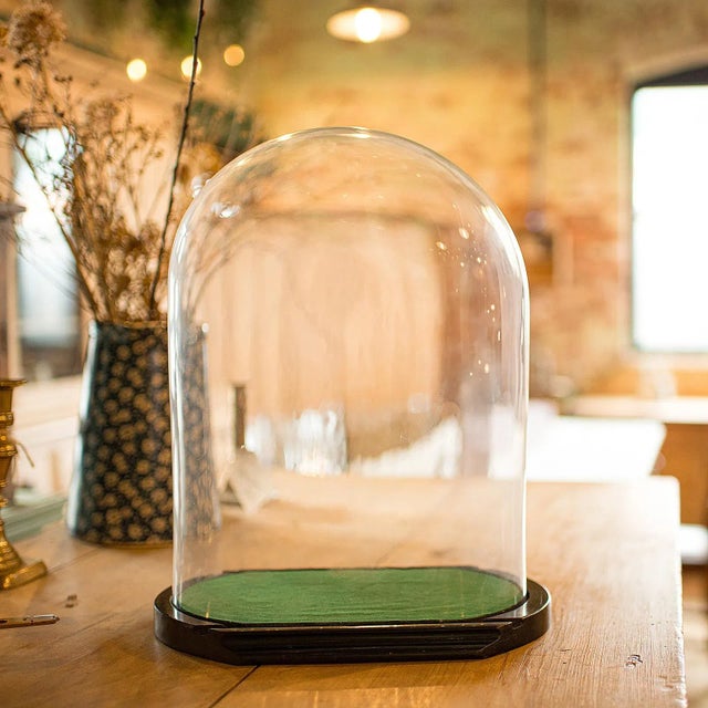 Victorian 1890's Antique Ovoid Display Dome For Sale - Image 3 of 8