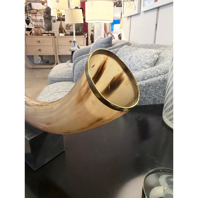 Natural Horn Accessory Mounted on Stone Base For Sale In Miami - Image 6 of 6