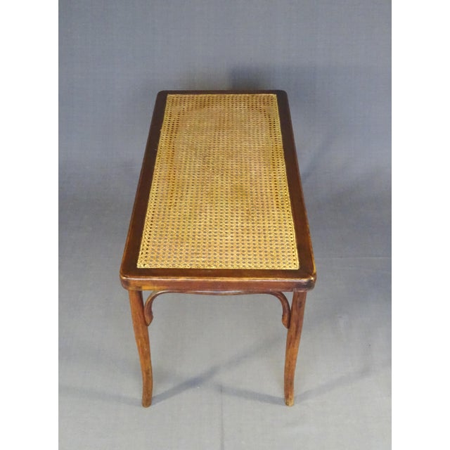 Vintage Bentwood and Cane Bench, 1920 For Sale - Image 4 of 6