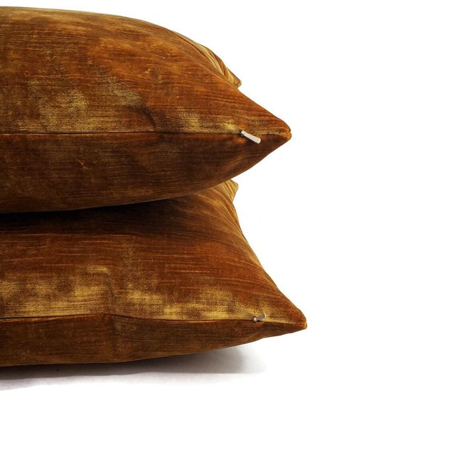 Kravet Chic Velour in Antique Gold Velvet Pillow Cover - 20" X 20" Silky Plush Gold Velvet Cushion Case For Sale In Portland, OR - Image 6 of 6