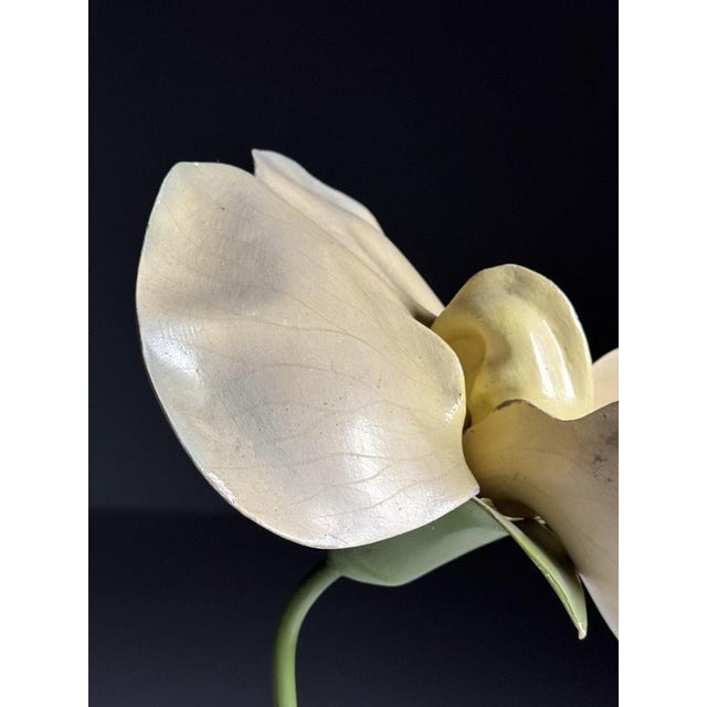 German Botanical Flower Model, 1900 For Sale - Image 11 of 18