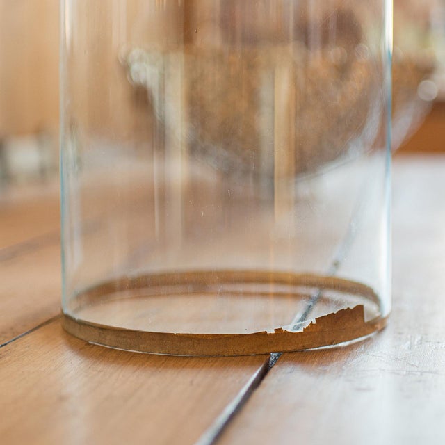 Glass 1890's Antique Tall Display Showcase For Sale - Image 7 of 10