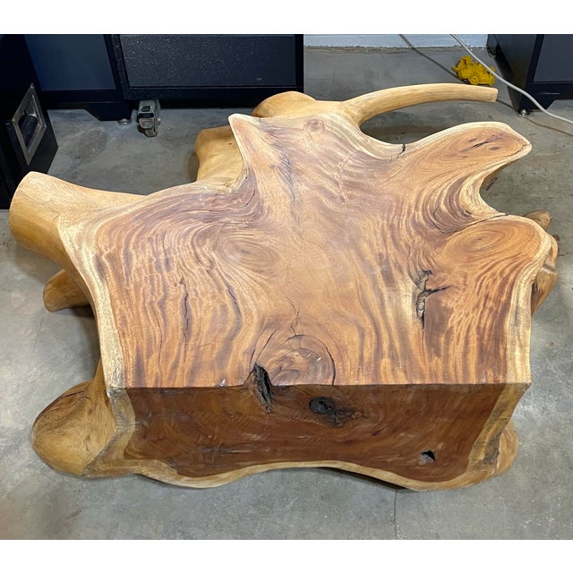 Beautiful Monkey Pod Root Slab/Table For Sale In Greensboro - Image 6 of 8