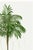 Green Royal Palm Study, Vintage Botanical Art Print Reproduction, 32" X 48" For Sale - Image 8 of 10