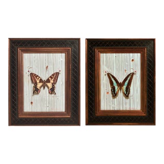 Leslie Formalik Trompe l'Oeil Paintings of Butterflies- Pair For Sale