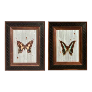 Leslie Formalik Trompe l'Oeil Paintings of Butterflies- Pair
