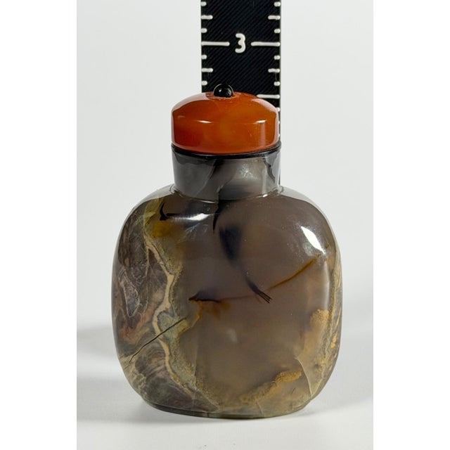 Dark Gray 19th C. Chinese Macaroni Shadow Agate Snuff Bottle Chalcedony Translucent For Sale - Image 8 of 9