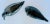 Mexican Vintage Oaxaca, Mexico Black Pottery Ducks, Artist Signed by Doña Rosa, Coyotepec- A Pair For Sale - Image 3 of 12
