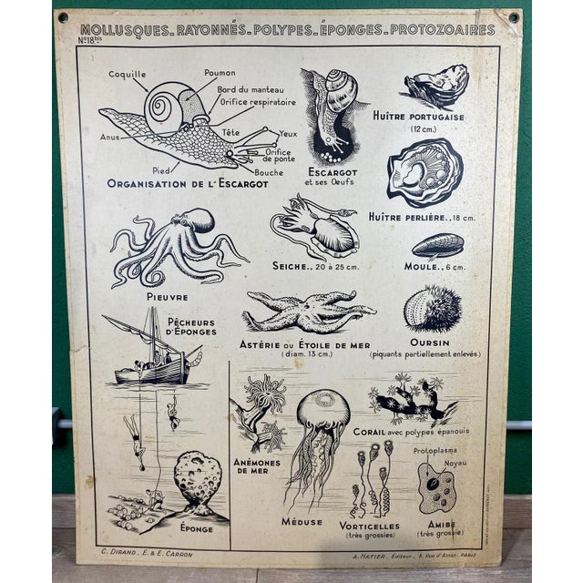 tiene algunas roturas en el cartón que no afectan a la estética. This piece has an attribution mark, I am sure that it is...