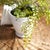 Maidenhair Drop-In 30" For Sale In Chicago - Image 6 of 7