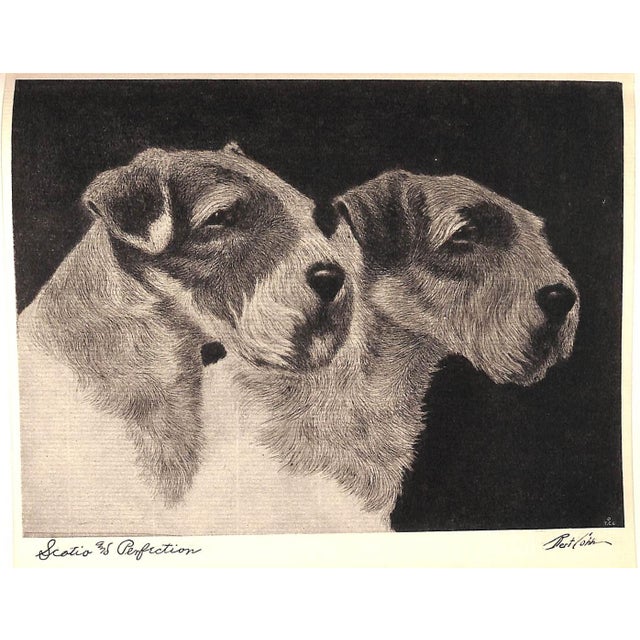 1930s "Portraits of Dogs" 1931 Cobb, Bert For Sale - Image 5 of 12